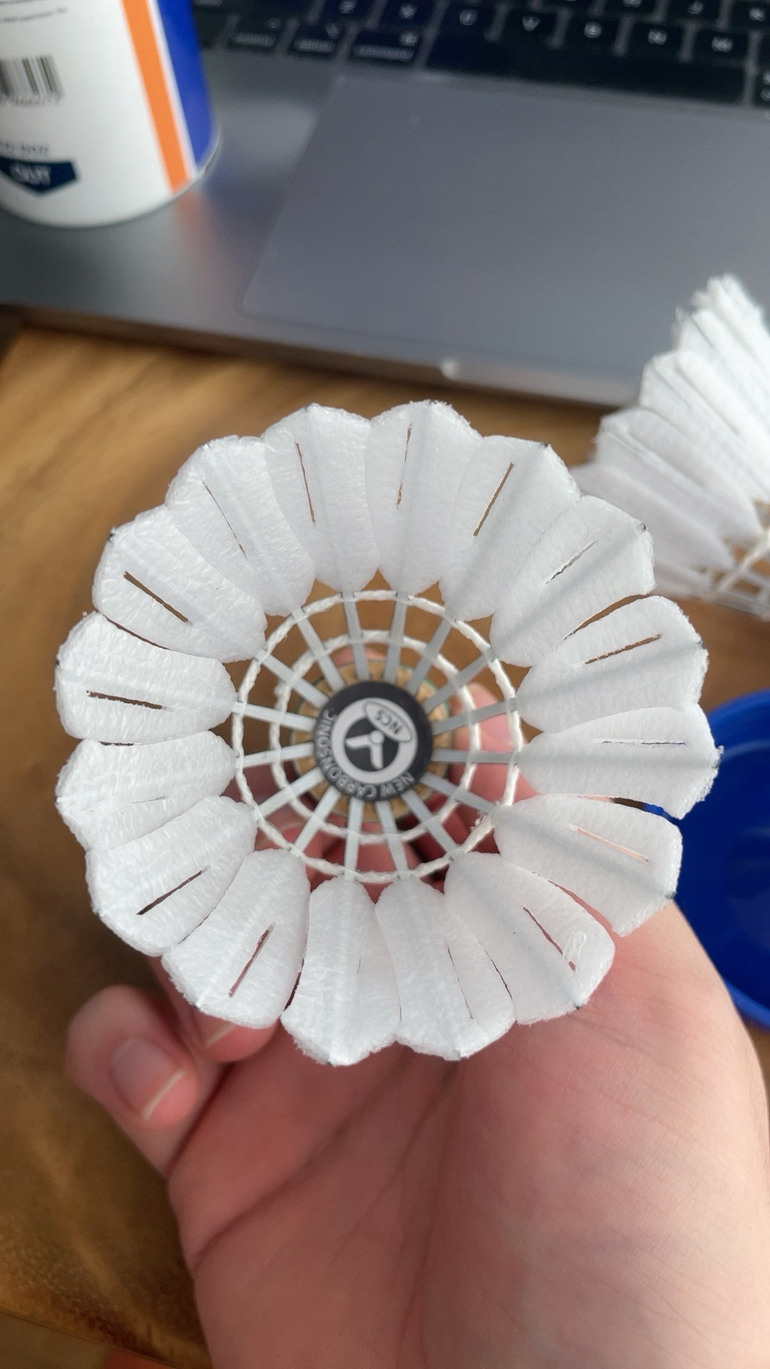 最终辅佐莱 最终辅佐莱